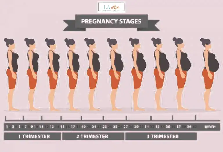 First Trimester (Weeks 1–12): Early Changes You Might Not Notice Romford